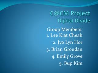 C@CM Project Digital Divide