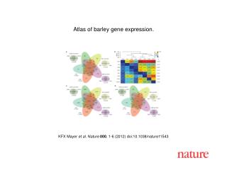 KFX Mayer et al. Nature 000 , 1-6 (2012) doi:10.1038/nature11543