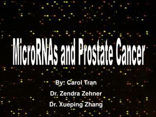 MicroRNAs and Prostate Cancer