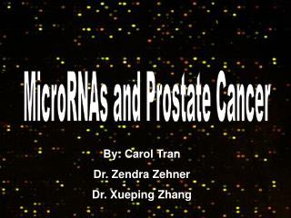 MicroRNAs and Prostate Cancer