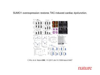 C Kho et al . Nature 000 , 1 - 5 (2011) doi:10.1038/nature10407