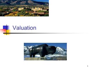 Valuation