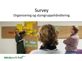 Survey Organisering og styregruppehåndtering
