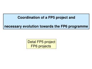 Coordination of a FP5 project and necessary evolution towards the FP6 programme