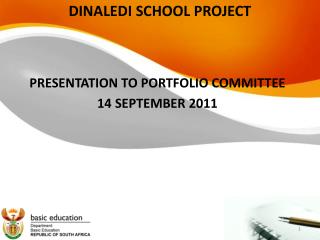 DINALEDI SCHOOL PROJECT