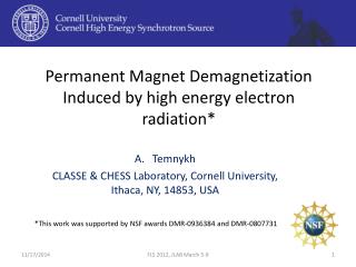 Permanent Magnet Demagnetization Induced by high energy electron radiation*