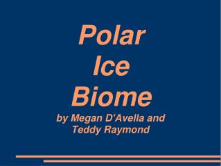 Polar Ice Biome by Megan D'Avella and Teddy Raymond