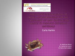 Carla Harkin