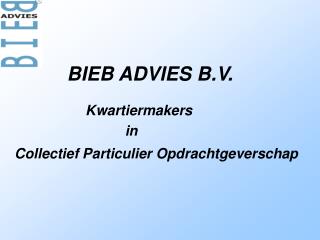 BIEB ADVIES B.V.