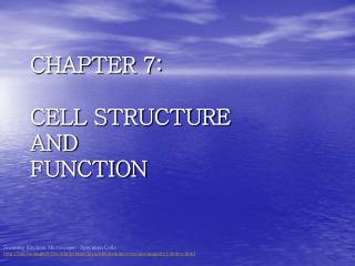 CHAPTER 7: CELL STRUCTURE AND FUNCTION