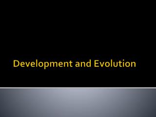 Development and Evolution