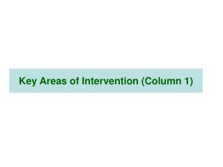 Key Areas of Intervention (Column 1)