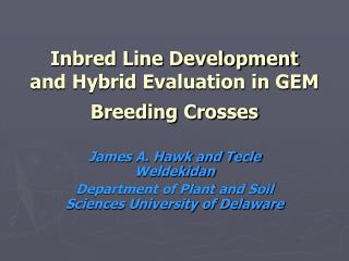 Inbred Line Development and Hybrid Evaluation in GEM Breeding Crosses