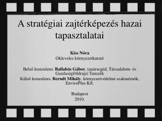 A stratégiai zajtérképezés hazai tapasztalatai