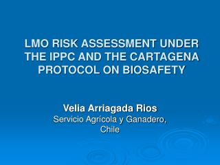 LMO RISK ASSESSMENT UNDER THE IPPC AND THE CARTAGENA PROTOCOL ON BIOSAFETY