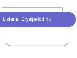 Listeria, Erysipelothrix