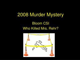 2008 Murder Mystery