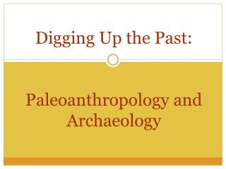 Digging Up the Past: Paleoanthropology and Archaeology