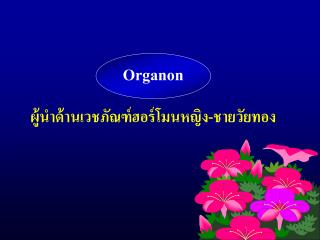 Organon