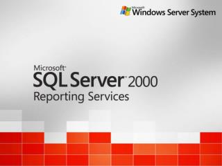 동아제약 영업관련 요약정보의 SQL Server Reporting Services 의 적용 사례