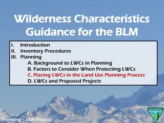 Planning – LUP Process