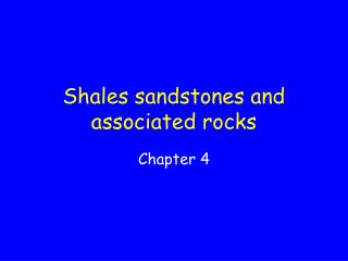 Shales sandstones and associated rocks