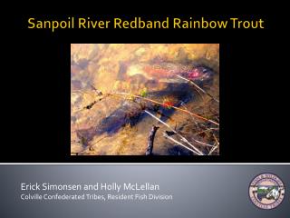 Sanpoil River Redband Rainbow Trout