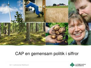 CAP en gemensam politik i siffror