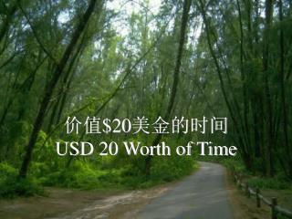 ä»·å€¼ $20 ç¾Žé‡‘çš„æ—¶é—´ USD 20 Worth of Time