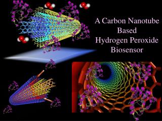 A Carbon Nanotube Based Hydrogen Peroxide Biosensor