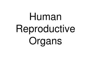 Human Reproductive Organs