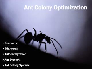 Ant Colony Optimization