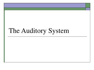 The Auditory System