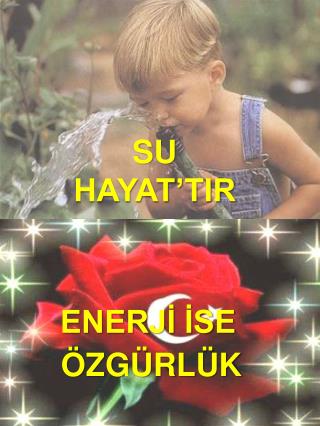 SU HAYAT’TIR