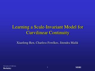 Learning a Scale-Invariant Model for Curvilinear Continuity