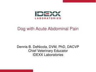 Dog with Acute Abdominal Pain