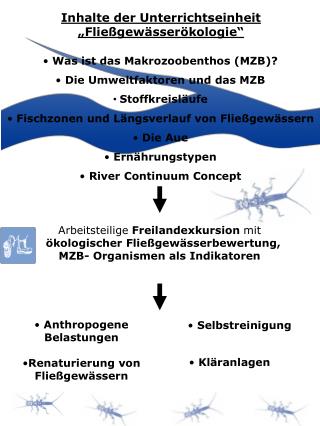 Inhalte der Unterrichtseinheit „Fließgewässerökologie“