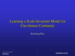 Learning a Scale-Invariant Model for Curvilinear Continuity