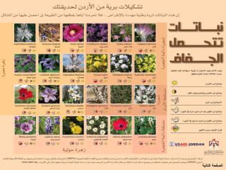 الصفحة التالية