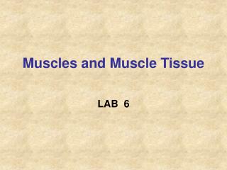 Muscles and Muscle Tissue