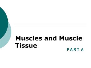 Muscles and Muscle Tissue