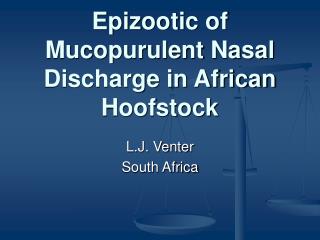 Epizootic of Mucopurulent Nasal Discharge in African Hoofstock