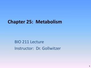 Chapter 25: Metabolism