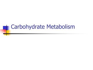 Carbohydrate Metabolism