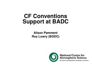 CF Conventions Support at BADC Alison Pamment Roy Lowry (BODC)