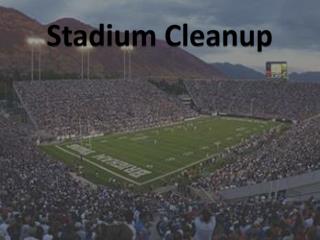 Stadium Cleanup