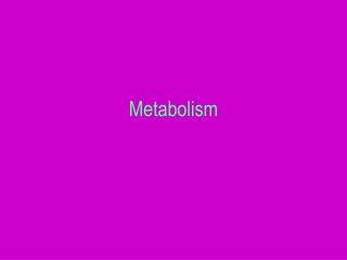 Metabolism