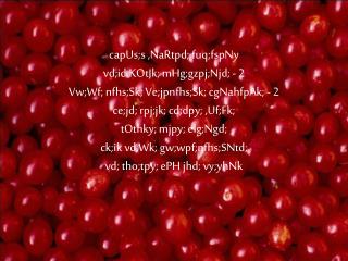 capUs;s ,NaRtpd; fuq;fspNy vd;id KOtJk; mHg;gzpj;Njd; - 2