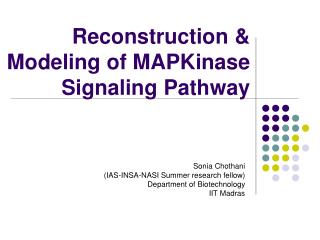 Reconstruction &amp; Modeling of MAPKinase Signaling Pathway