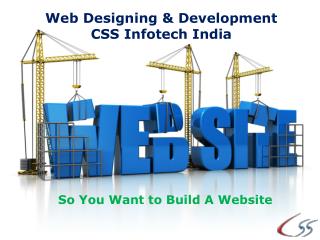 Web Designing & Development-CSS Infotech India